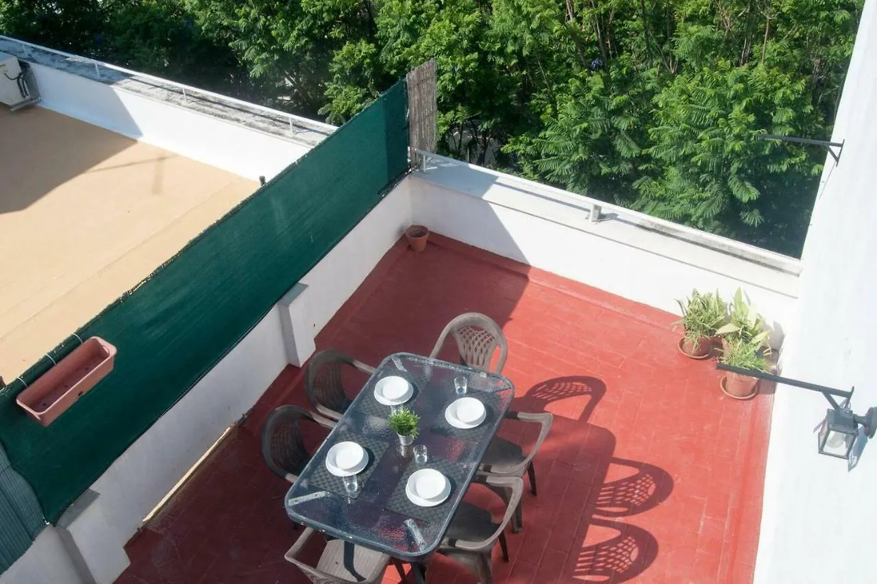 El Mirador Del Mentidero Apartment Cadiz Spain